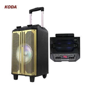 portable power amplified speaker for music or outdoor party