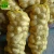 Import Potatoes fresh sweet potato high quality low price professional export wholesalers fresh potato from China