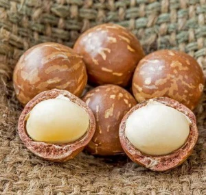 Premium dried Macadamia Nuts from Daklands brandin Vietnam