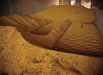 Premium Quality Soybean/ Soya Bean/ Soybeans Seeds From BRAZIL