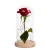 Import Preserved rose in glass dome with led light beauty and the beast rose in a glass wholesale wedding valentine&#039;s day gifts from China