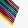Promotional Eco-Friendly 12 Plastic Woodless Drawing Color Pencils