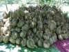 Quality Fresh  Mhonthong Thai Durian For Sale