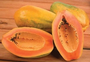 Quality Fresh Papaya for sale 30% off