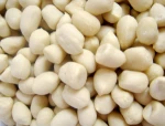 Raw Blanched Peanuts