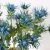 Import Real Like Plastic Blue Long Stem Real Touch Artificial Eryngo from China