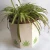 Import Recycled handmade hemp paper mache flower pots planter from India