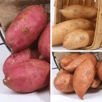 Red / Yellow / Purple Skin Sweet Potatoes