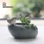 Import ROOGO Resin stone style with artificial dish garden flower plant pots decoration from China