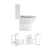 Import Sanitary Ware One Piece Toilet Ceramic Floor Toilets from China