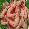 SEAFOOD HIGH QUALITY PUD RED SHRIMP FROZEN PRICE FROM CHIAN SUPPLIER WITH LOW PRICE