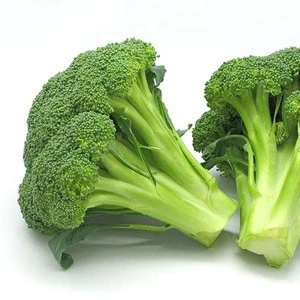 Sell fresh broccoli from new season of owned farm South Africa