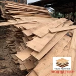 Selling Vietnam Good Price Pine Wood log/ Timber Lumber/ Plank With Various Sizes