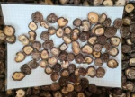 Shanghai DETAN mushroom taste  Chinese flavour Cheap Price shiitake Mushroom Chips snacks small snacks for leisure time