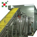 Shaoxing frozen fruit & vegetable quick freezing fluidized industrial freezer/Blast iqf tunnel freezer machines