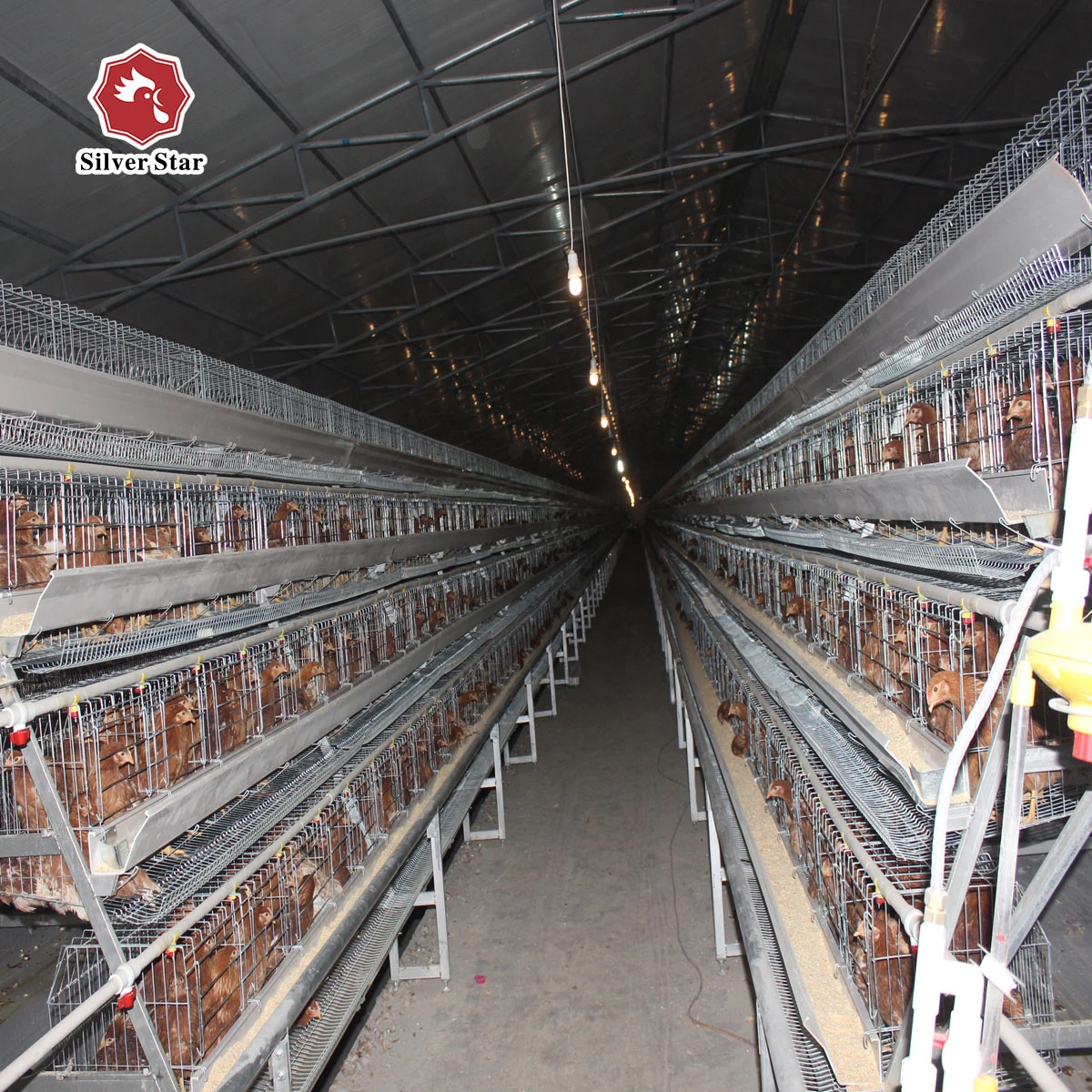 Silver star a type automatic chicken egg layer cages steel poulailler