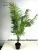 Import SJ10087 Natural Foliage Plants Type Green Indoor Big Plants for Decor from China