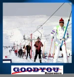 ski T-bar surface lifts ropeway for sale