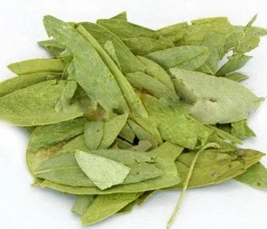 Slimming tea Green new dried whole Senna Leaf for food additives
