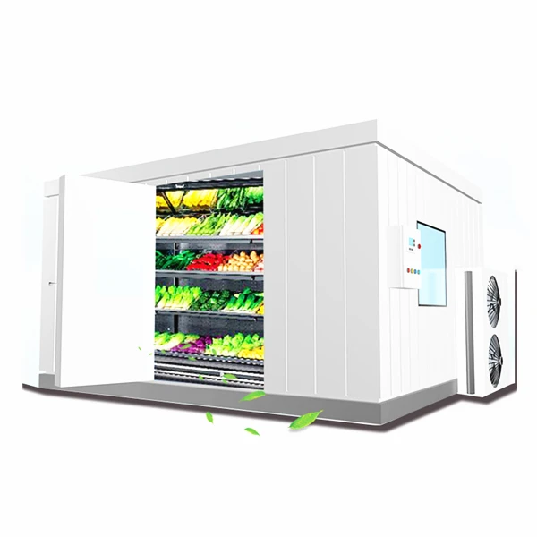 Small insulin refrigerator unit blast furnace freezer walk-in freezer cold storage medical vacsine