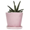 Small Round Ceramic Pot With A Tray Succulent Planter