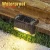 Import Solar Fence Light With Solar Lights Two LED Lamps Poles Garden Light for Pathway, Yard, Fence, Pathway from China