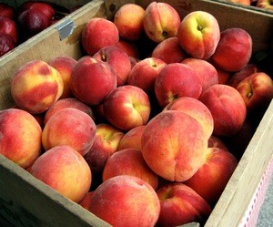South African Fresh Peaches for export.