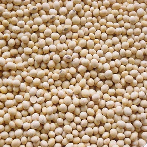 Soybean/Soya Bean, Soybean Seeds, Soya Bean Seeds( New Crop)