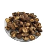 Special Grade Dried shiitake mushroom stem / shiitake mushroom cultivation