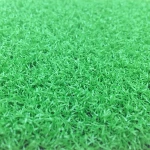 Sports Plastic Soccer Field Carpet Gym artificial turf grass with low prices