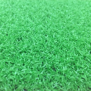 Sports Plastic Soccer Field Carpet Gym artificial turf grass with low prices