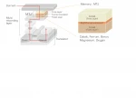sputtering target magnetic memory materials  CoMnSi