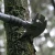 Import Stainless steel tactical folding shovel price survival camping hiking from China