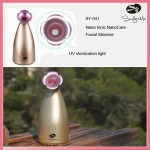 Steam Sauna Spa Beauty Salon /Vapor Ozone Facial Steamer /Deep cleansing facial steamer