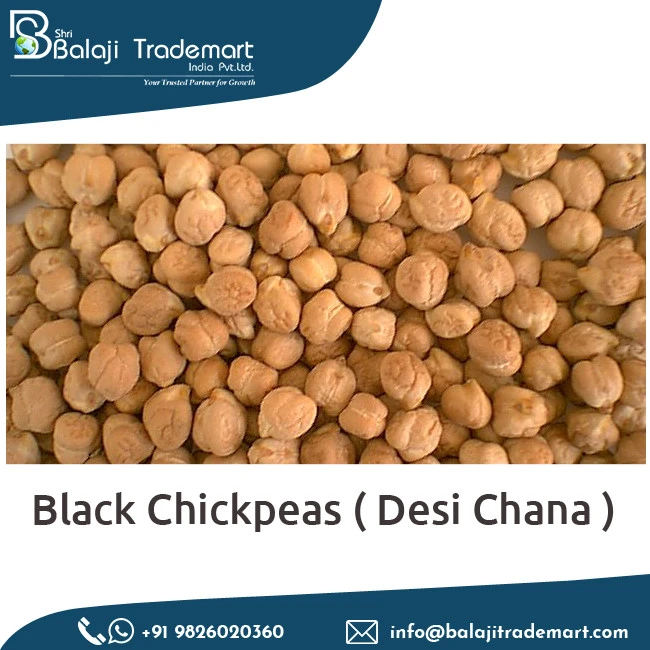 Superb Quality Roasted Chana Black Chickpeas