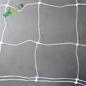 Supply quality Heavy Duty Long-lasting PP trellis netting/plastic climbing support nets/cut flowers support net
