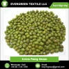 Tasty and Nutritive Green Mung Beans at Low Price