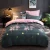 Import Textile 100% Cotton Brief Pink Floral Girl 4pcs Bedding Set Duvet Cover Sets Pillowcase Bedclothes Queen SizeNew patterns from China