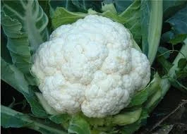 Thailand Fresh Cauliflower