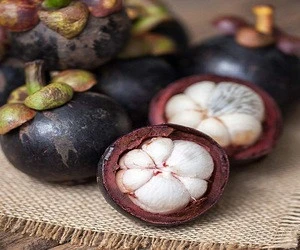 The Fresh Mangosteen and natural fruit