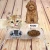 Import thermal bending acrylic pet feeder stand with bowls Cat and Dog Stainless steel food feeder double bowl with transparent stand from China