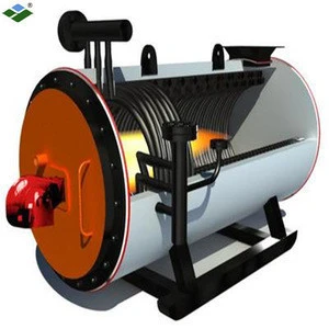 Thermal oil boiler