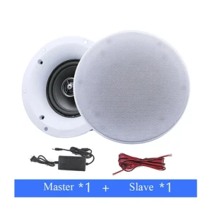 Tianlai Smart Home Amplificador De Sonido Profesional High End Loudspeaker Inch Ceiling Speaker Speakers