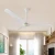 Import TNTSTAR TNT-202 220v dc industrial 56 inch ceiling fan led bldc light prices remote  modern restaurant low smart outdoor from China