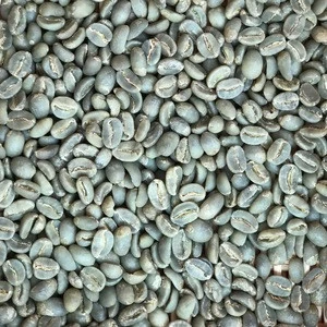 Top High Quality Java Ijen Raung Arabica Coffee Suitable for Machine Espresso