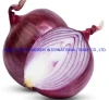 Top Quality China 2021 New Crop Fresh Red Onion,Top Quality Big Bulb 2021 New Crop Fresh Red Onion,China Chinese 5-8cm Red Onion Bulb in Big Quantity Freshonion