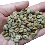 100% Top Quality Robusta grade 1 screen 18 clean  - Best Ready Raw Coffee Beans for Drinking from Viet Nam Exporter