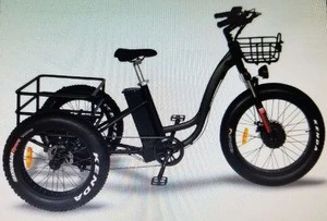 Top Tricycle 750 fast and long distance 750W 48V 20AH max speed 28MPH