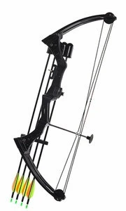 Traditional youth compound bow and arrow for shooting practice