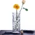 Import transparent glass vase hydroponic green radishes flower implement small fresh dried flower from China